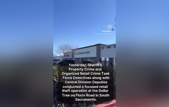 South Sac Dollar Tree Sting Nets 21 As Cops Crack Down On Theft