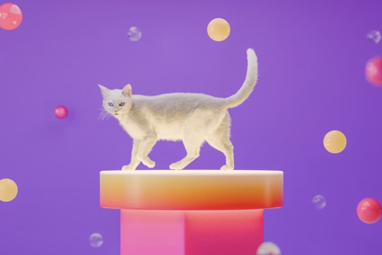 Southtown Set To Go Full Meow As Purrfecto Cat Lounge Prowls In This May
