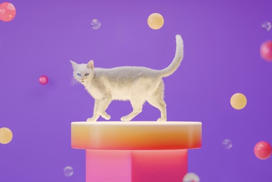 Southtown Set To Go Full Meow As Purrfecto Cat Lounge Prowls In This May