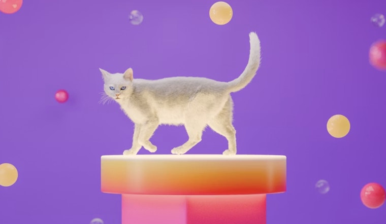 Southtown Set To Go Full Meow As Purrfecto Cat Lounge Prowls In This May