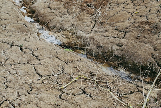 Southwestern Travis County Cracks Down as Extreme Drought Slams Wells