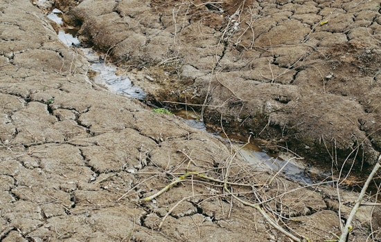 Southwestern Travis County Cracks Down as Extreme Drought Slams Wells