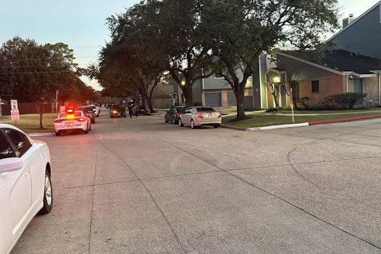 Spring Block Shaken as Car Hits 10-Year-Old Biking on Trailing Vine