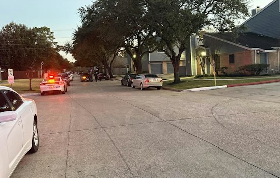 Spring Block Shaken as Car Hits 10-Year-Old Biking on Trailing Vine