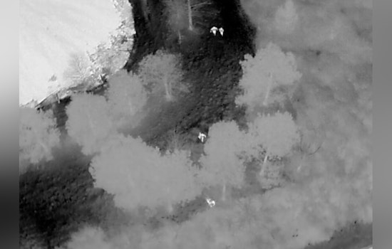 Spring Pond Chase, ‘Iceman’ Drone And K-9 Lanzo Run Down Fleeing Passenger
