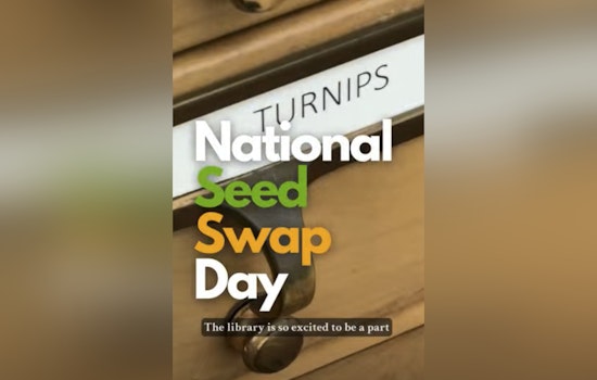 St. Johns County Celebrates National Seed Swap Day with Communal Seed Library Initiative