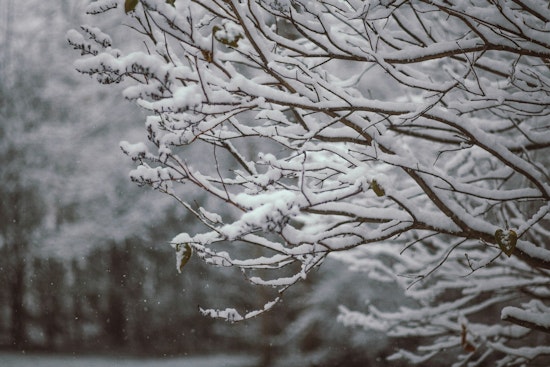 St. Louis Basks Friday, Then Braces For Weekend Snow