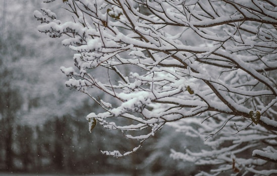 St. Louis Basks Friday, Then Braces For Weekend Snow