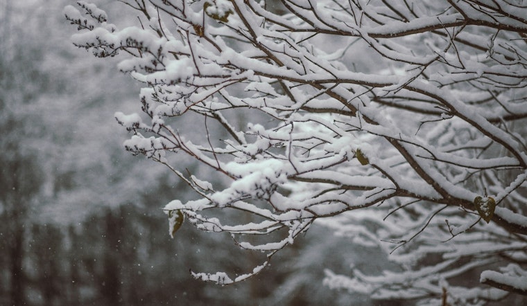 St. Louis Basks Friday, Then Braces For Weekend Snow