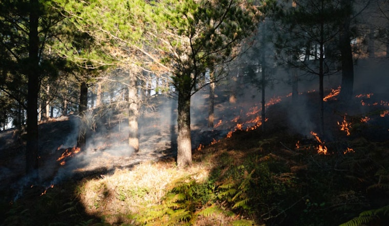 St. Louis On Edge as Fire Risk Puts Backyard Burning on Ice