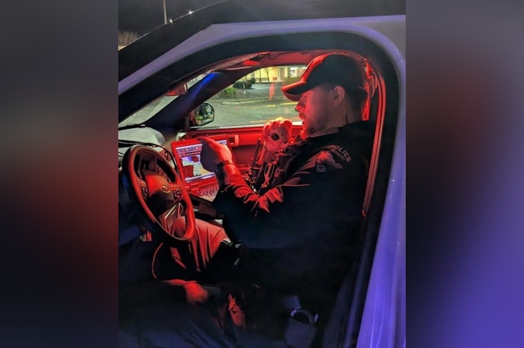 Stolen Ride, Flat Tires and a Passed-Out Juvenile, Issaquah Bust on NW Sammamish Road