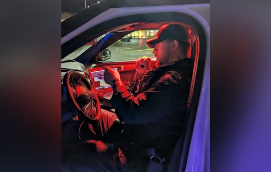 Stolen Ride, Flat Tires and a Passed-Out Juvenile, Issaquah Bust on NW Sammamish Road