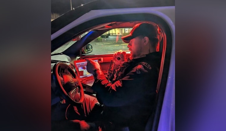 Stolen Ride, Flat Tires and a Passed-Out Juvenile, Issaquah Bust on NW Sammamish Road