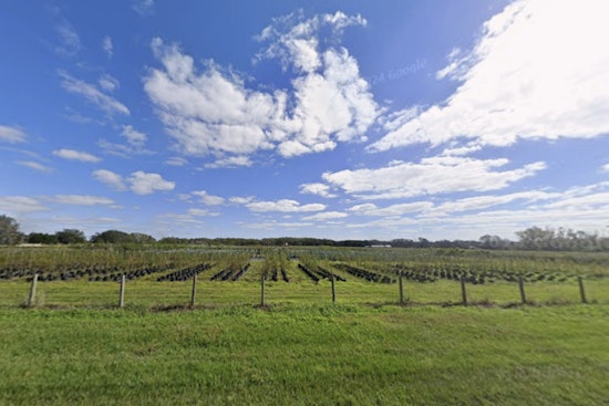 Strawberry Fields No More Hillsborough Board Pushes Lithia Housing Plan Ahead