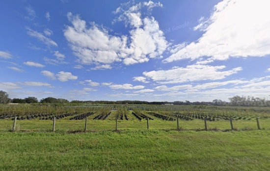 Strawberry Fields No More Hillsborough Board Pushes Lithia Housing Plan Ahead