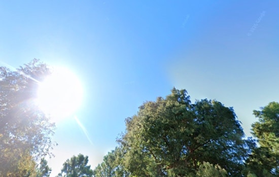Sunshine, Stinging Chill And Whipping Winds Hit New Orleans