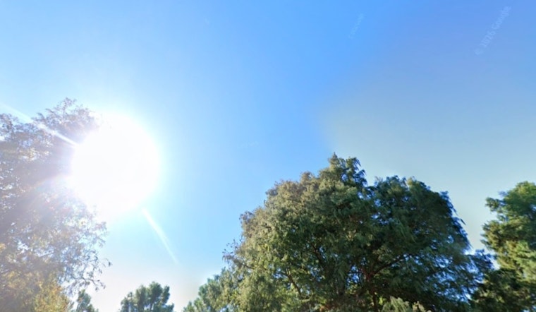 Sunshine, Stinging Chill And Whipping Winds Hit New Orleans