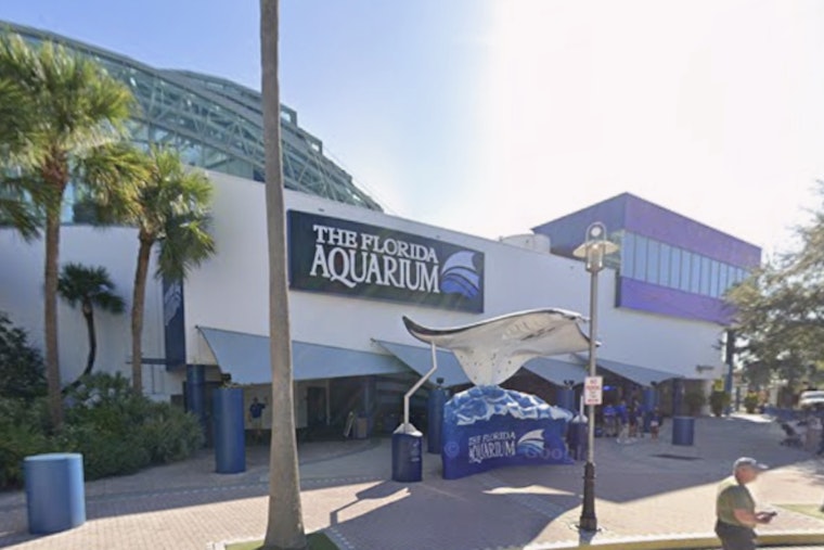Tampa Aquarium’s New Café Seventy One Serves Up Ocean-Friendly Fare
