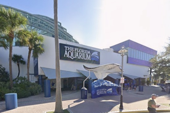 Tampa Aquarium’s New Café Seventy One Serves Up Ocean-Friendly Fare