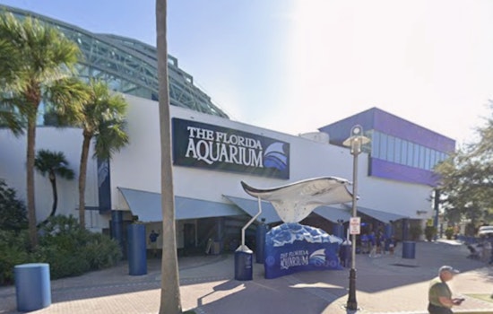 Tampa Aquarium’s New Café Seventy One Serves Up Ocean-Friendly Fare
