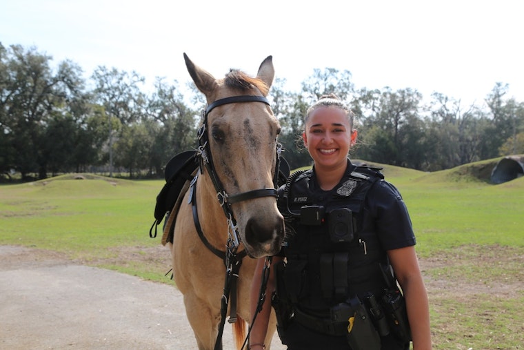 Tampa Police Department's Beloved Horse Mount Hank Trots into Retirement