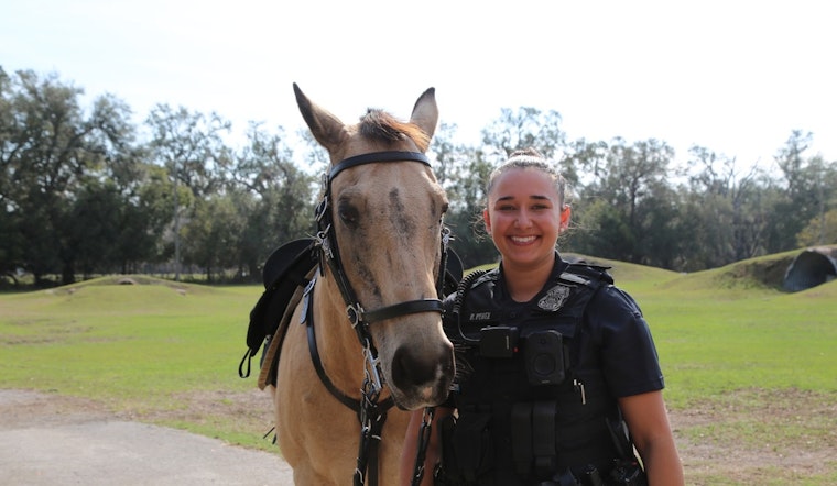Tampa Police Department's Beloved Horse Mount Hank Trots into Retirement