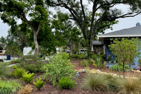 Tampa Salutes Eco-Conscious Residents with Water-Wise Awards Amid Drought Concerns