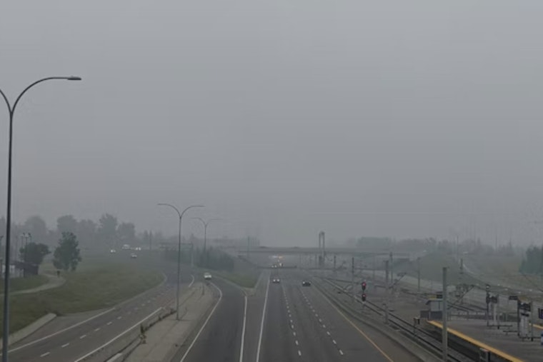 Tampa Wakes in a Fog, Sprints to 80s Before Weekend Cool-Down
