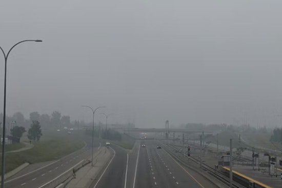 Tampa Wakes in a Fog, Sprints to 80s Before Weekend Cool-Down
