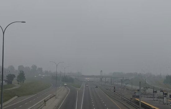 Tampa Wakes in a Fog, Sprints to 80s Before Weekend Cool-Down