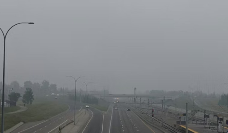 Tampa Wakes in a Fog, Sprints to 80s Before Weekend Cool-Down