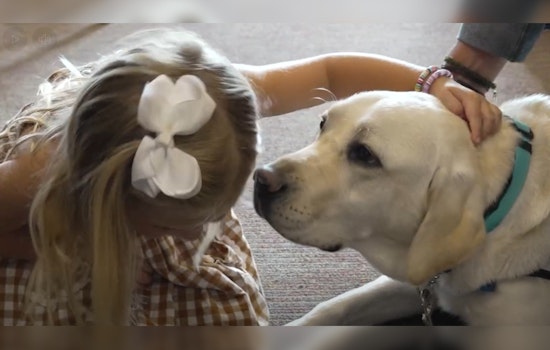 Tennessee Allows Facility Dogs To Accompany Child Witnesses