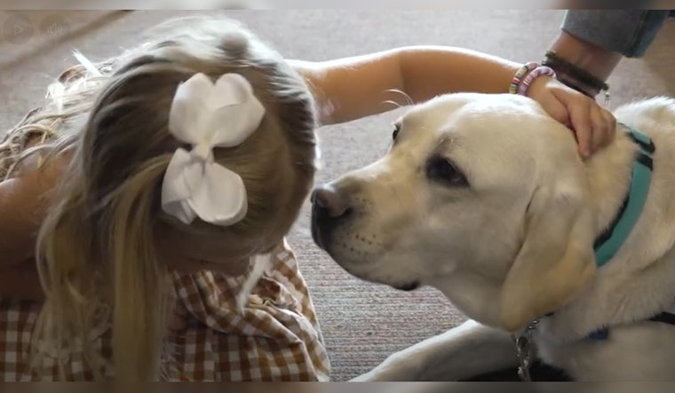 Tennessee Allows Facility Dogs To Accompany Child Witnesses