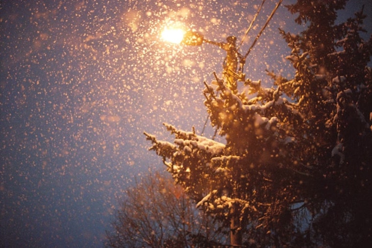 These Michigan Counties Are Sitting Ducks For Winter Disasters