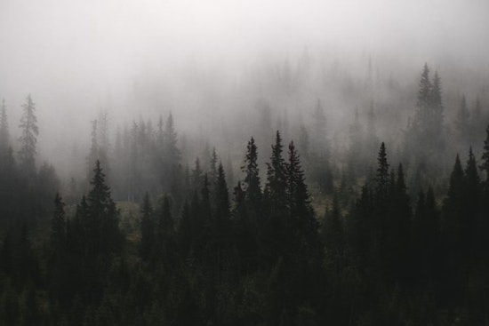 Thick Fog Chokes Seattle’s Morning Drive As Afternoon Sun Makes a Comeback