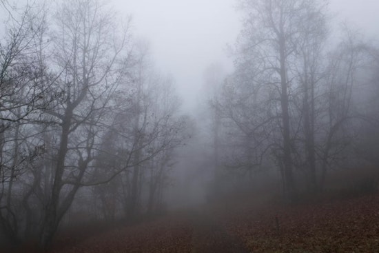 Thick River Fog Smothers St. Louis Before Temps Rocket Into The 60s