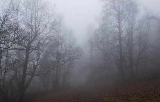 Thick River Fog Smothers St. Louis Before Temps Rocket Into The 60s