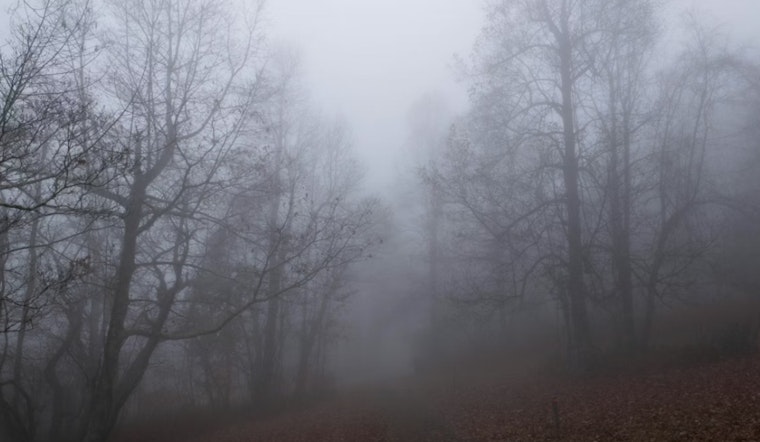 Thick River Fog Smothers St. Louis Before Temps Rocket Into The 60s