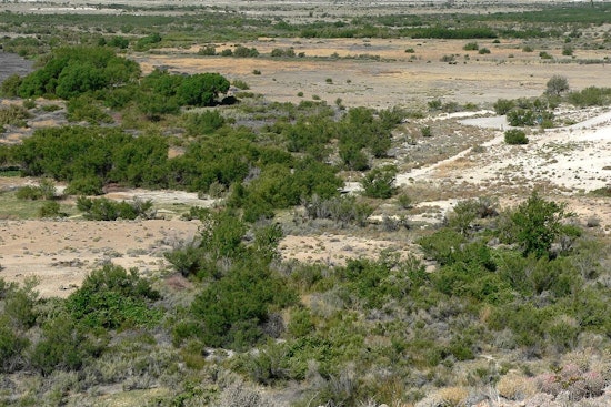 Timbisha Tribe, Conservationists Sue to Stop Mine Near Ash Meadows