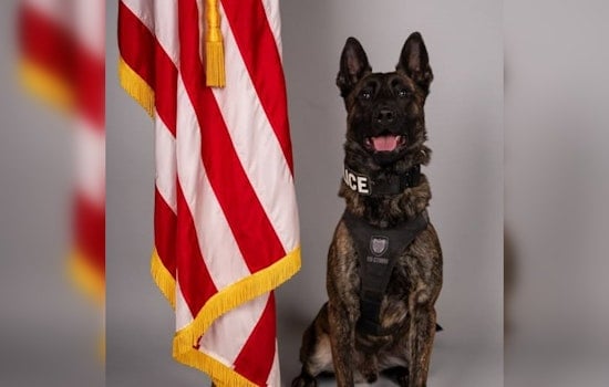 Travonte Tate Pleads Guilty to Assault on Police K9 and Resisting Arrest, Receives Maximum Sentences in Rock Hill