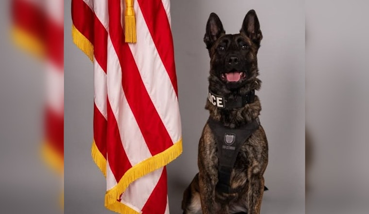 Travonte Tate Pleads Guilty to Assault on Police K9 and Resisting Arrest, Receives Maximum Sentences in Rock Hill