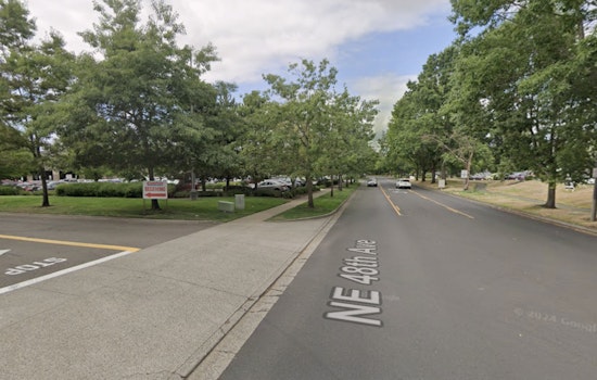 Treetop Takedown Near Hillsboro Costco As K-9 Nabs Alleged Stalker