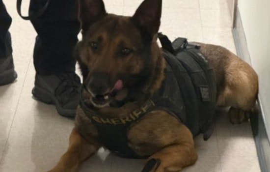 Trenton Fugitive Nabbed by Butler County Sheriff's K-9 Unit Following Foot Chase