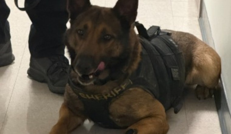 Trenton Fugitive Nabbed by Butler County Sheriff's K-9 Unit Following Foot Chase