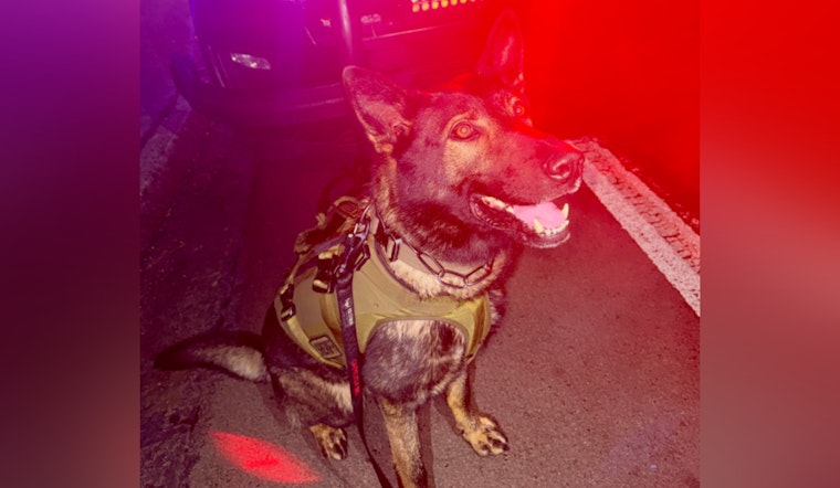 Twin K-9 Team Runs Down Eugene Crash Suspect After Late-Night Backyard Chase