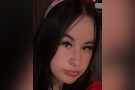 Union County Sheriff's Office Seeks Public Assistance to Locate Missing 14-Year-Old Ava Williams from Richwood, Ohio