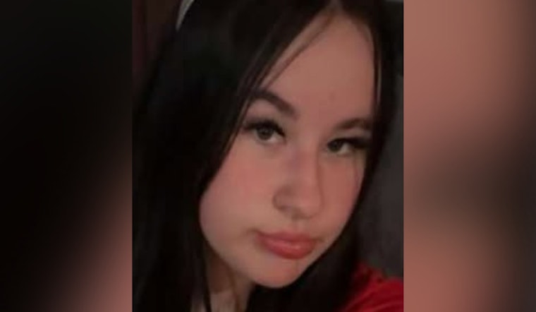 Union County Sheriff's Office Seeks Public Assistance to Locate Missing 14-Year-Old Ava Williams from Richwood, Ohio