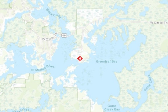 Upper Road Brush Blaze Rattles Wesley Chapel, Triggers Big Fire Response