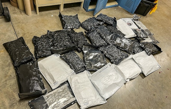 Vancouver Cops Collar Alleged Pot Shipper With 31 Pounds In The Mail