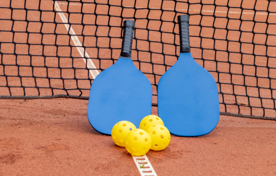 Volusia Pickleball Dustup Ends With Local Couple Hauled Off In Cuffs